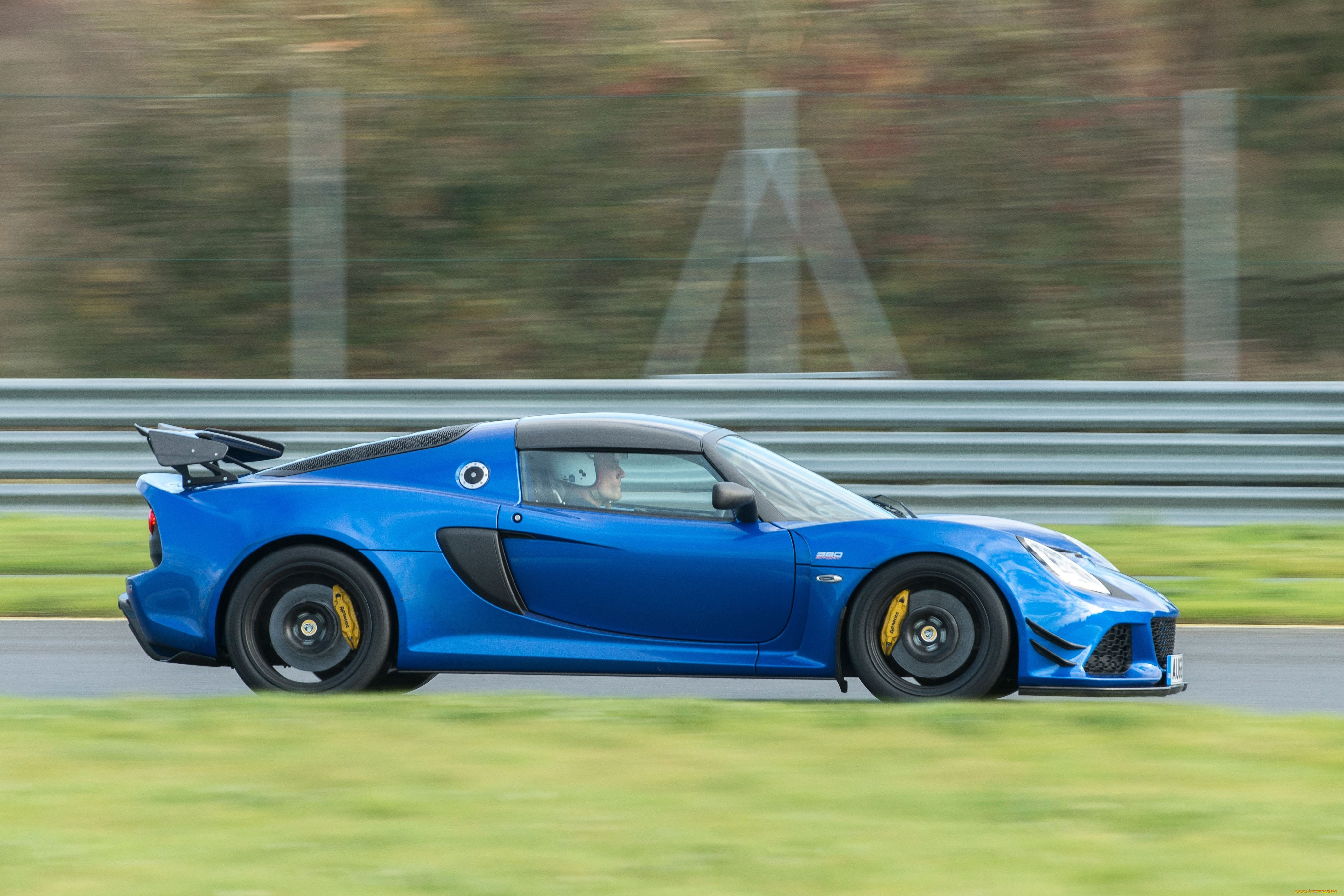 , lotus